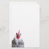 Papeterie Papier photo Cute Bantam Cochin Hen (Devant / Derrière)