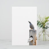 Papeterie Papier photo Valley Quail (Debout devant)