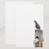 Papeterie Papier photo Valley Quail (Devant / Derrière)