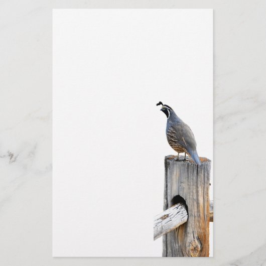 Papeterie Papier photo Valley Quail (Devant)