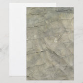 Papeterie Papier vieilli (Devant / Derrière)