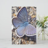 Papeterie Papillon bleu clair (Debout devant)