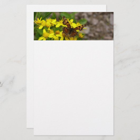 Papeterie Papillon Comma dans le parc national des Glaciers (Devant / Derrière)