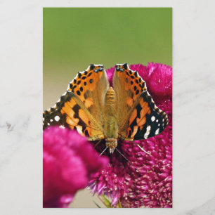 Papeterie Papillon de la Dame peinte