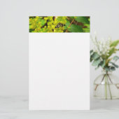 Papeterie Papillon de Redwood et fleurs sauvages de raisin d (Debout devant)