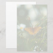Papeterie Papillon du Pacifique (Devant / Derrière)