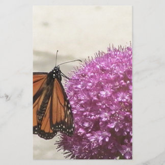 Papeterie Papillon et oignon géant