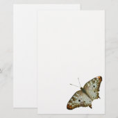 Papeterie Papillon Exotique de Sainte-Lucie (Devant / Derrière)