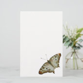 Papeterie Papillon Exotique de Sainte-Lucie (Debout devant)