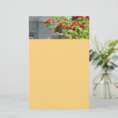 Papeterie Papillon monarque sur le papillon rouge Bush (Debout devant)