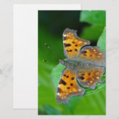 Papeterie Papillon orange (Devant / Derrière)