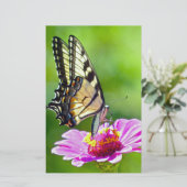Papeterie Papillon Papilio glaucus (Debout devant)