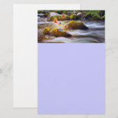 Papeterie Papillons (Devant / Derrière)