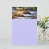 Papeterie Papillons (Debout devant)