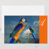 Papeterie PARROTS HYPER / MONOGRAMME D'ARA BLEU, orange (Devant / Derrière)