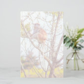 Papeterie Patas est au sommet d'un arbre (Debout devant)