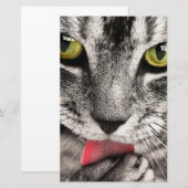 Papeterie Paw de cueillette de chat Tabby (Devant / Derrière)