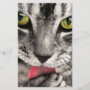Papeterie Paw de cueillette de chat Tabby
