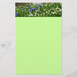 Papeterie Paysage des fleurs du début du printemps