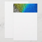 Papeterie Peacock Feathers IV Colorful Abstrait Nature (Devant / Derrière)