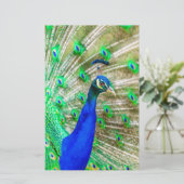 Papeterie Peacock Plumage (Debout devant)