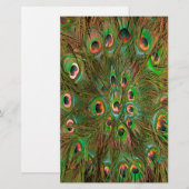 Papeterie Peacock plumes Arrière - plan vert (Devant / Derrière)