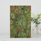 Papeterie Peacock plumes Arrière - plan vert (Debout devant)