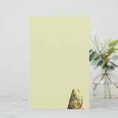 Papeterie Pêcheur de truite de Brook (Debout devant)