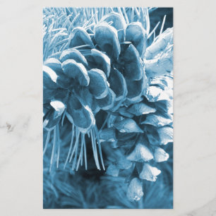 Papeterie Pénecone bleu glacé primitif