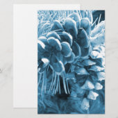 Papeterie Pénecone bleu glacé primitif (Devant / Derrière)