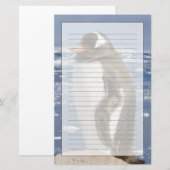 Papeterie Penguin Gentoo (Devant / Derrière)