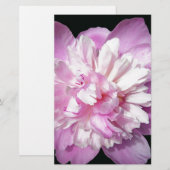 Papeterie Peony rose (Devant / Derrière)