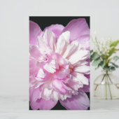 Papeterie Peony rose (Debout devant)