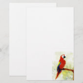 Papeterie Perroquet coloré Art Oiseau (Devant / Derrière)
