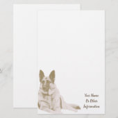 Papeterie personnalisée par photo de berger (Devant / Derrière)