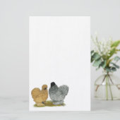 Papeterie Petits poulets (Debout devant)