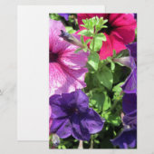 Papeterie Petunias colorées (Devant / Derrière)