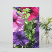Papeterie Petunias colorées (Debout devant)