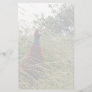 Papeterie Pheantastic