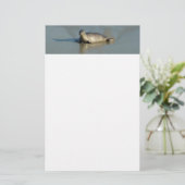 Papeterie Phoque du port à La Jolla en Californie (Debout devant)