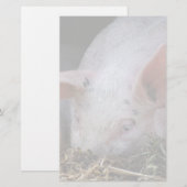 Papeterie Photo de cochon rose (Devant / Derrière)