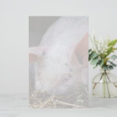 Papeterie Photo de cochon rose (Debout devant)