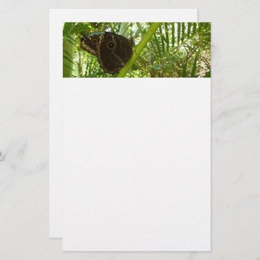 Papeterie Photo de la nature du papillon bleu Morpho (Devant / Derrière)