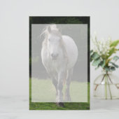 Papeterie Photo du poney de Cute (Debout devant)