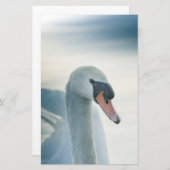 Papeterie Photo Mute Swan Nature (Devant / Derrière)