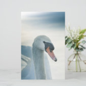 Papeterie Photo Mute Swan Nature (Debout devant)