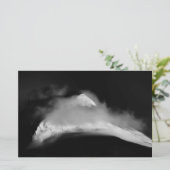 Papeterie Pic de la ceinture bordée (Debout devant)