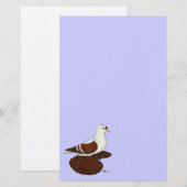 Papeterie Pigeon à aile rouge (Devant / Derrière)