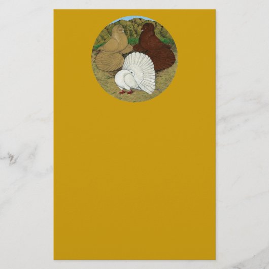 Papeterie Pigeon Combo (Devant)