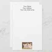 Papeterie Piglets (Devant / Derrière)